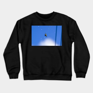 spider Crewneck Sweatshirt